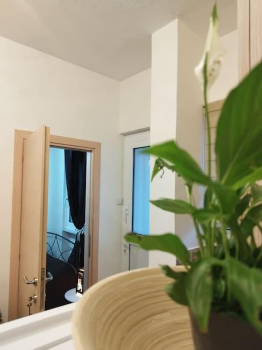 Rhodes City Esteticaapartments מראה חיצוני תמונה